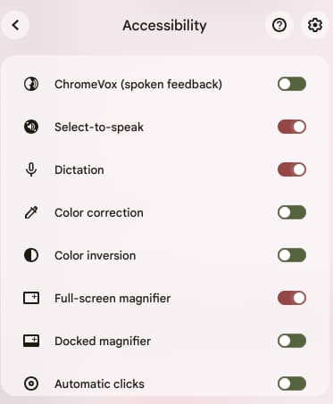 Menu of Chromebook accessibility settings with on/off switches. 