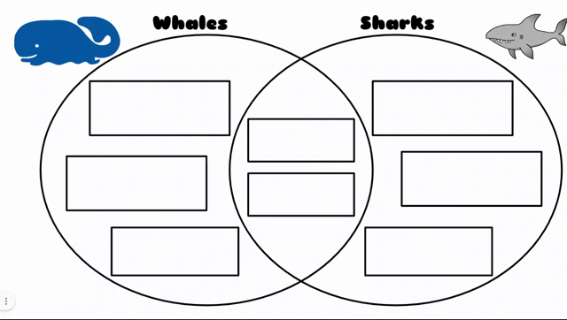 Animated image of a teacher annotating on a Venn diagram comparing sharks and whales.