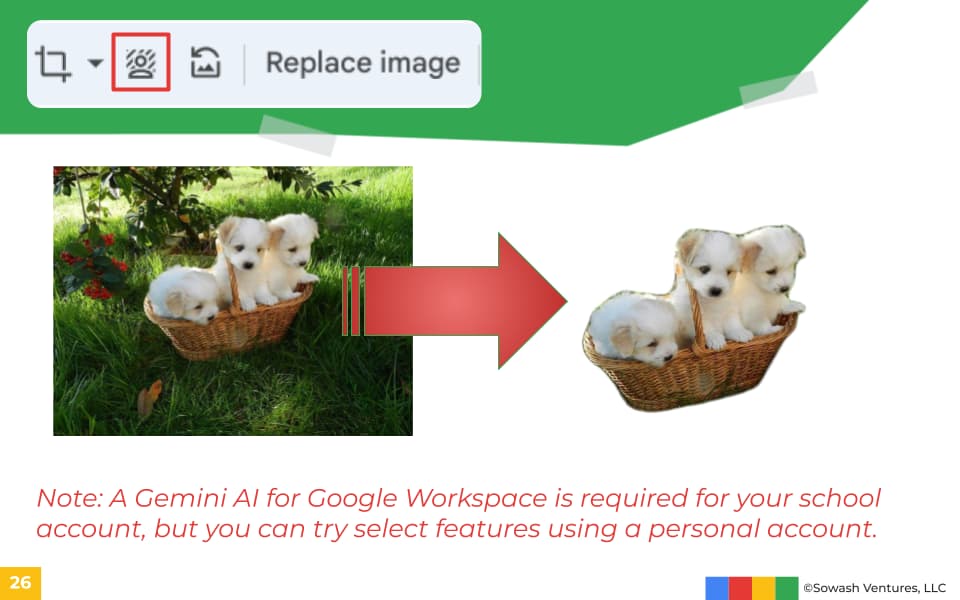 A screenshot of how Google Slides removed the background of a photo of puppies in a basket